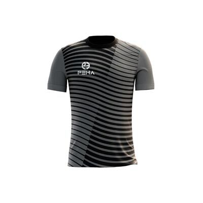 Koszulka piłkarska dla dzieci PEHA Santos szaro-czarna