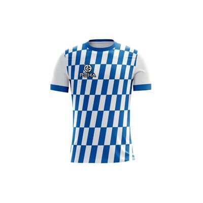 Koszulka piłkarska PEHA Dalco biało-niebieska
